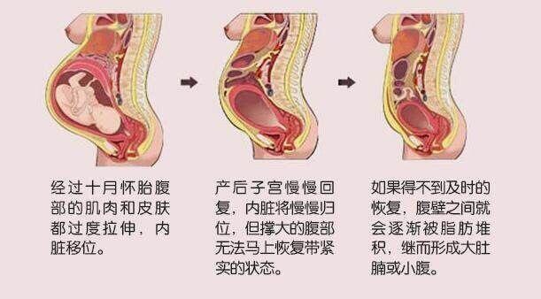 刨妇产三个月来例假了，产后恢复的生理变化与注意事项