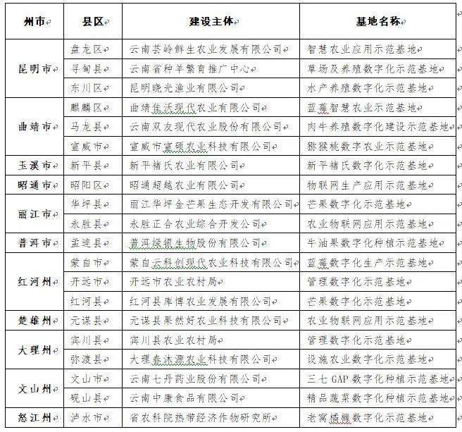 江苏晶云科技，引领科技创新，塑造数字未来