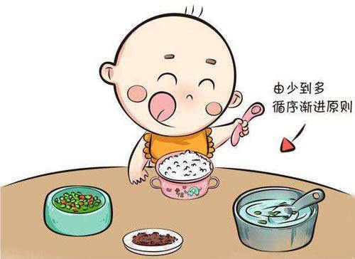 十个月宝宝可以吃瘦肉吗？——宝宝辅食添加的新探索