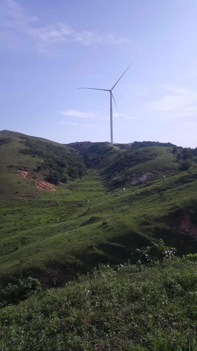 广东省林地租赁指南，探寻最佳林地租赁地点