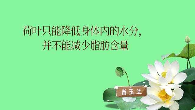 挑战自我，如何在六个月内健康减重二十斤