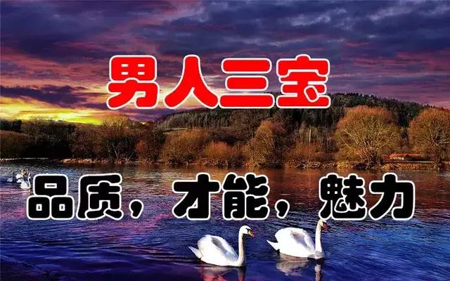 广东念宝有限公司，创新发展的先行者